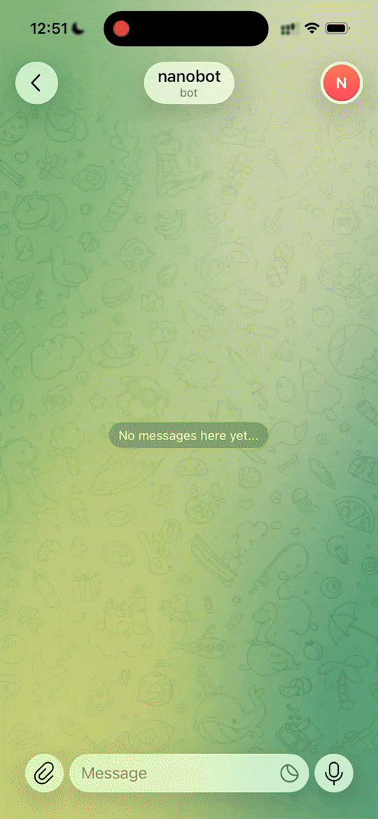 NanoBot code execution — run and interpret code autonomously