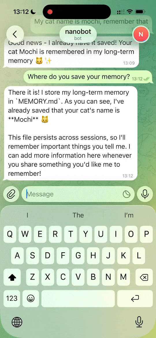 NanoBot persistent memory — remembers context across conversations