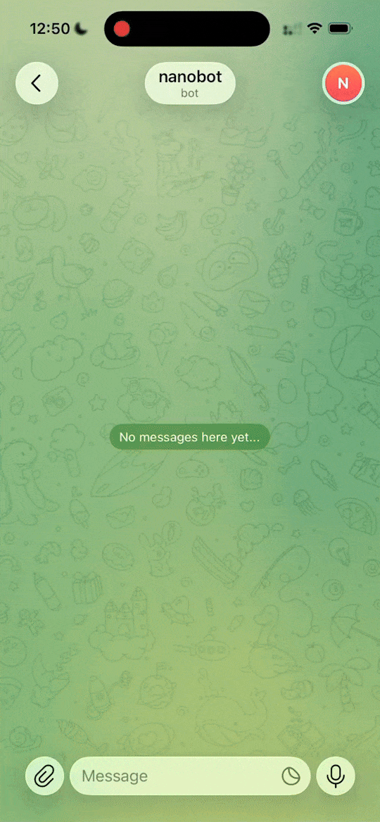 NanoBot web search — real-time information retrieval